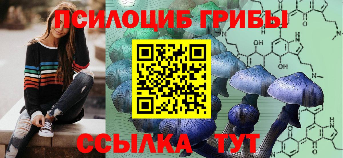 Надым  Галлюциногенные грибы мухоморы  Вход с VPN 