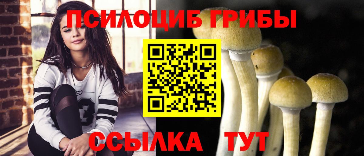 Псилоцибиновые грибы прущие грибы Надым